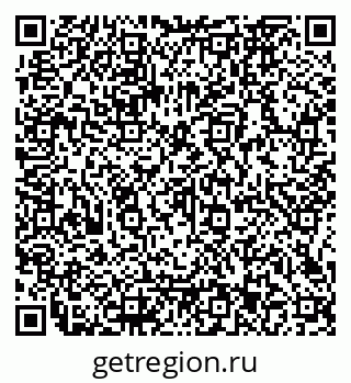 79066163381