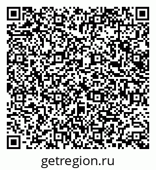 79066163858
