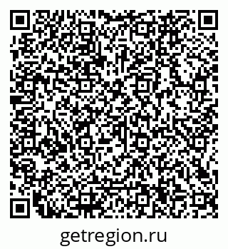 79066164411