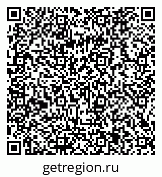 79066165155