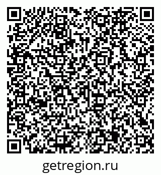 79066165206