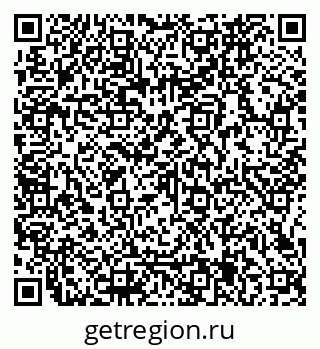 79066165355