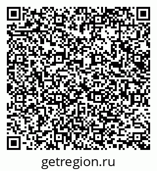 79066167795