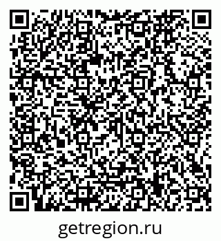 79066169343
