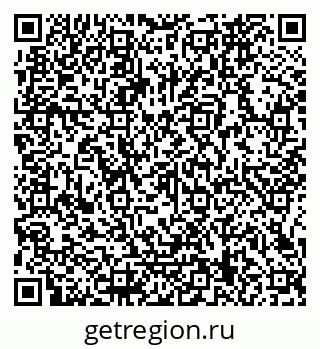 79066169354