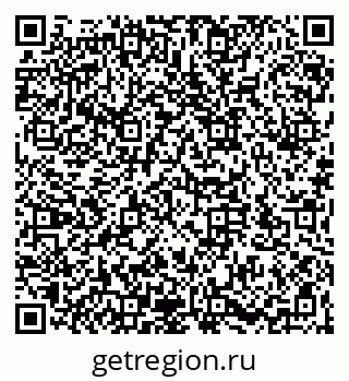 79066172024