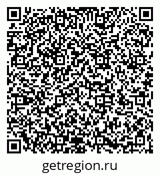 79066175557