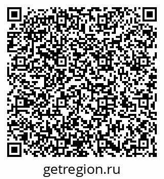 79066175995