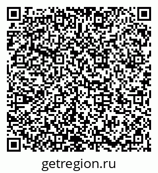 79066176636