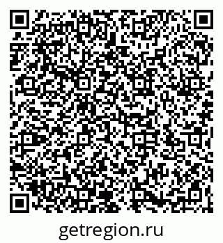 79066177656