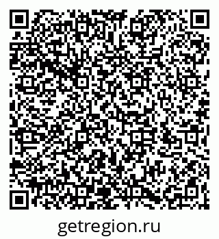 79066195498