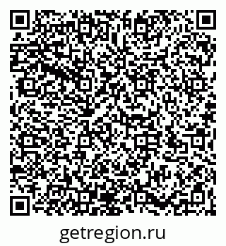79066195538
