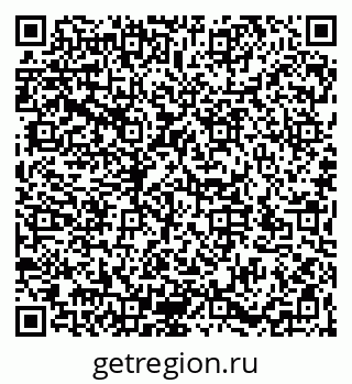79066195919