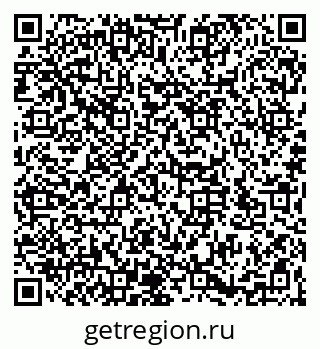 79066197658