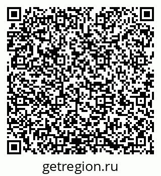 79066198355