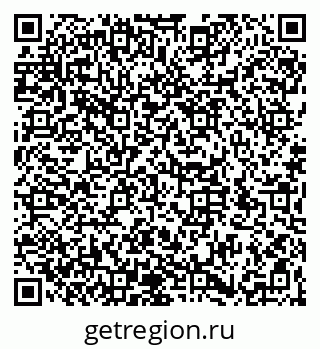 79066198981