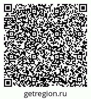 79066199981