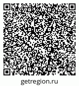 79066202008