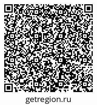 79066202411