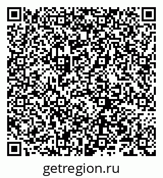 79066202528