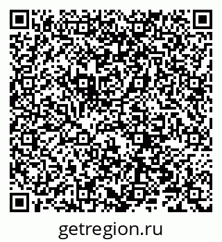79066204101