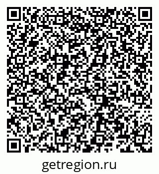 79066261646