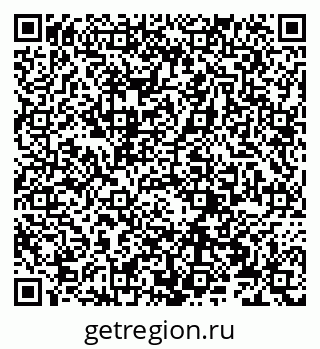 79066275981