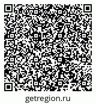 79066278343