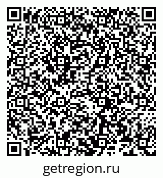 79066279981