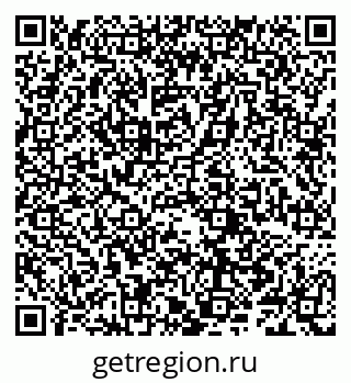 79066281838