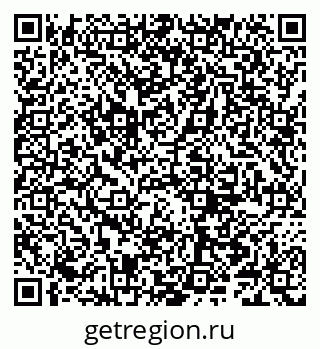 79066288381