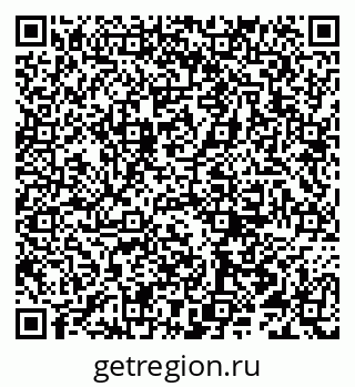 79066291355