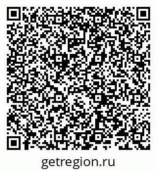 79066291618