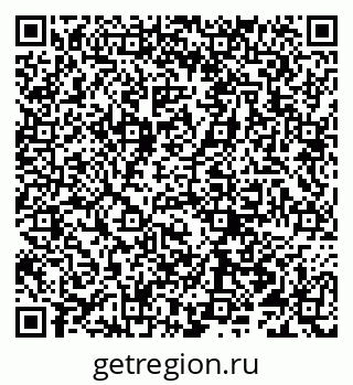 79066291656