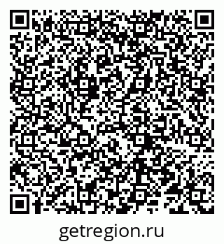 79066295061