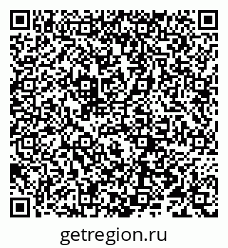 79066295408