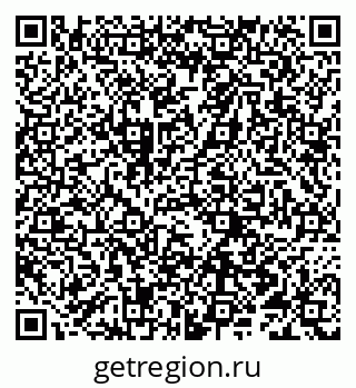 79066295491