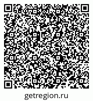 79066295881