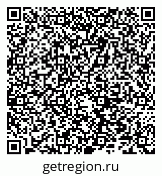 79066300355