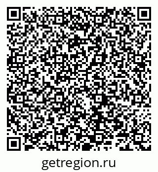 79066300411