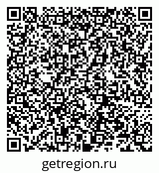 79066302024