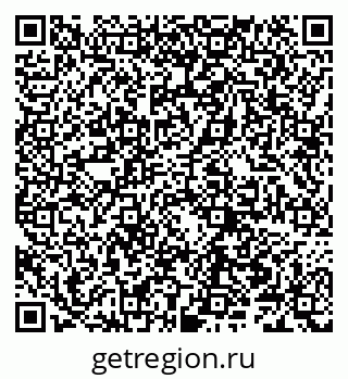 79066302025