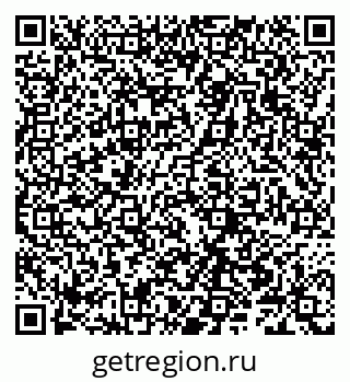 79066304411