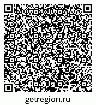 79066306355