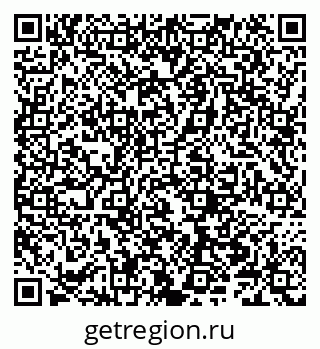 79066306539