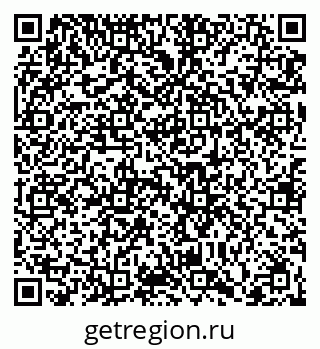 79066400295