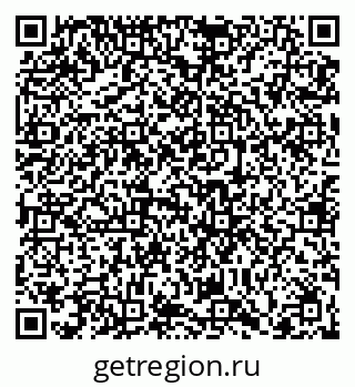 79066400411