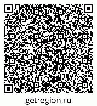 79066400491