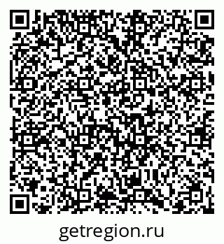 79066400544