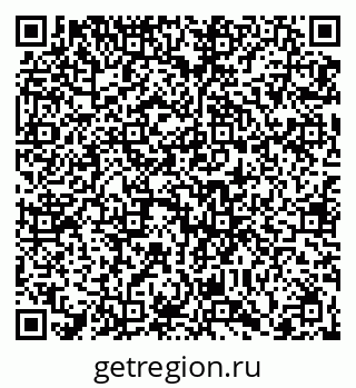 79066400558
